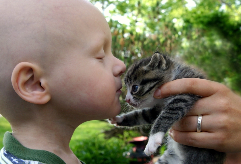 Boy Kissing Cat